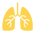 Pulmonology icon