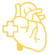 Cardiology
