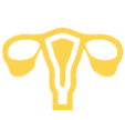 Gynaecology
