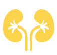 Nephrology 