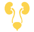 Urology