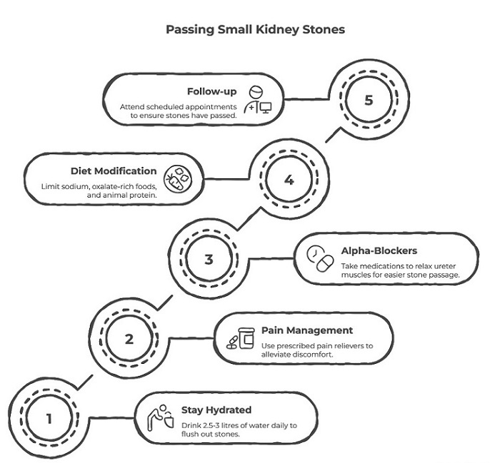 passing small kidney stones