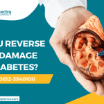 Can You Reverse Kidney Damage from Diabetes
