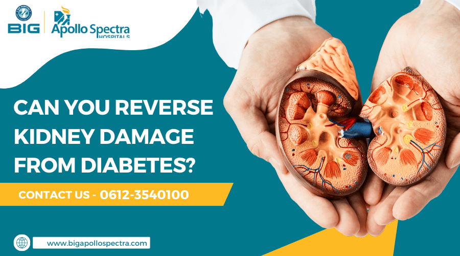 Can You Reverse Kidney Damage from Diabetes