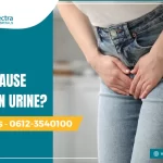 can uti cause protein in urine