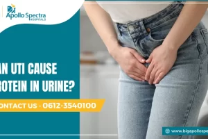 can uti cause protein in urine