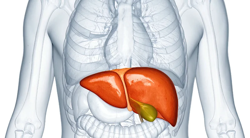liver diagnosis after gallbladder removal
