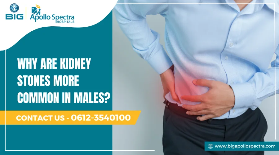 why are kidney stones more common in males