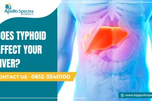 does typhoid affect liver