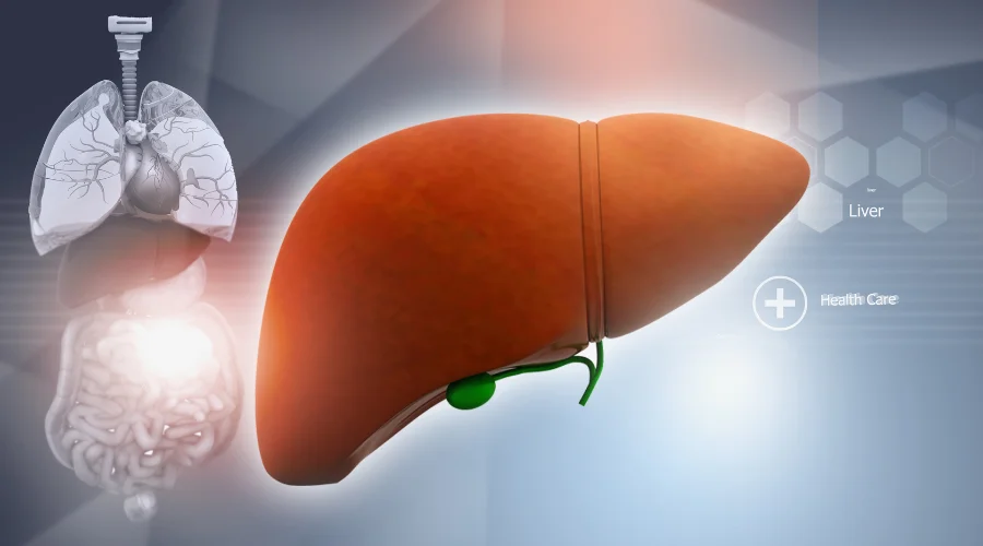 typhoid fever and liver