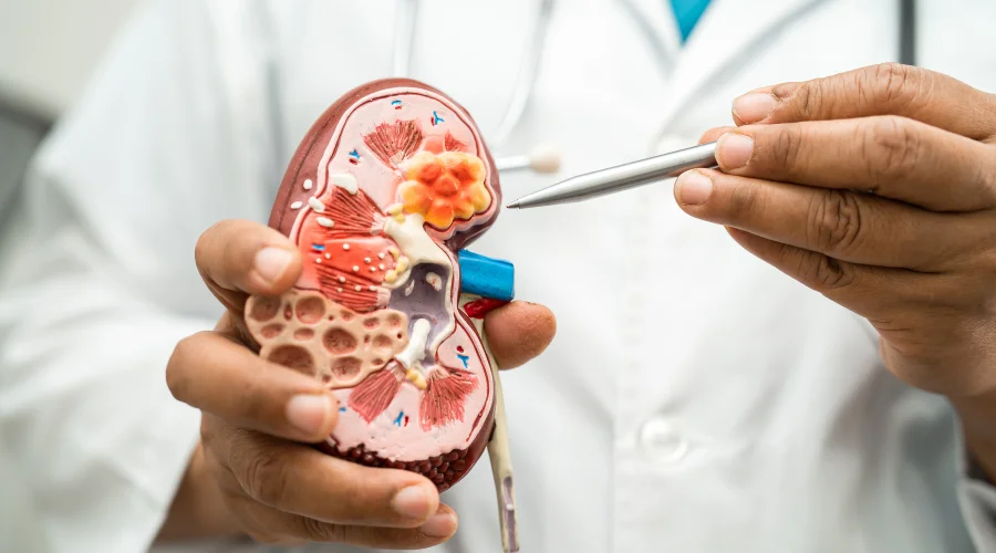 hypertensive kidney disease