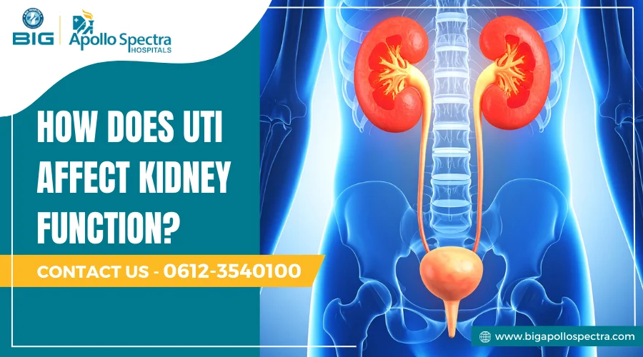How does UTI affect kidney function