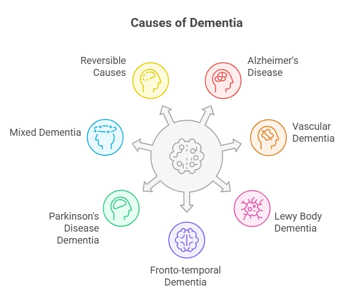 dementia causes