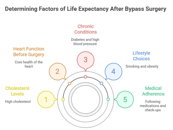 Factors Affecting Life Expectancy After Bypass Surgery