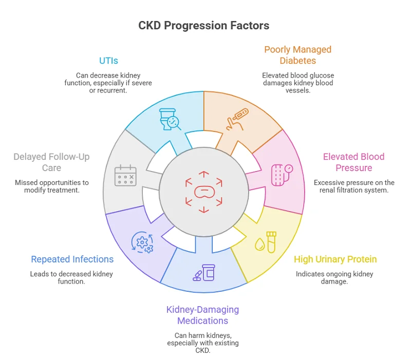 What Factors Cause CKD to Progress