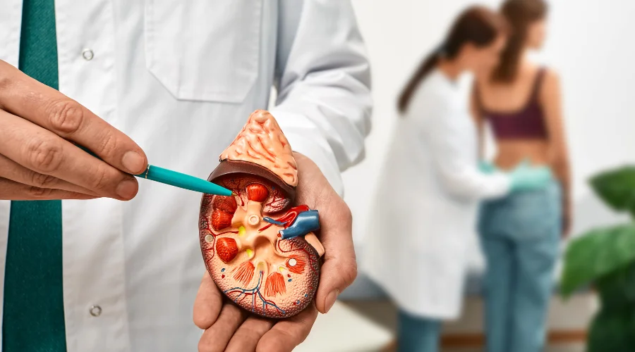 overactive bladder and kidney disease