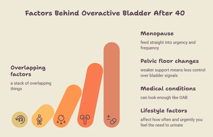 Overactive Bladder in females over 40
